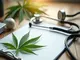 -cannabis-teillegalisierung-in-der-kritik-aerzte-fordern-ruecknahme-und-mehr-aufklaerung