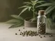 neueste-entwicklungen-in-der-cannabis-forschung