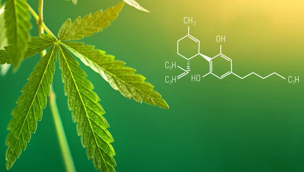 thc-nachweisbarkeit-im-urintest-wie-lange-ist-der-konsum-nachweisbar