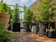 cannabis-auf-dem-balkon-erlaubt-welche-regeln-fuer-dich-gelten
