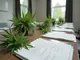 cannabis-clubs-in-deutschland-unsicherheit-fortschritte-und-herausforderungen-nach-legalisierung