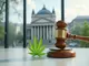cannabis-debatte-in-deutschland-widerstand-gerichtsurteile-und-neue-entwicklungen