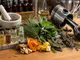 cannabis-diesel-terpene-erklaert-aroma-profile-und-wichtige-unterschiede