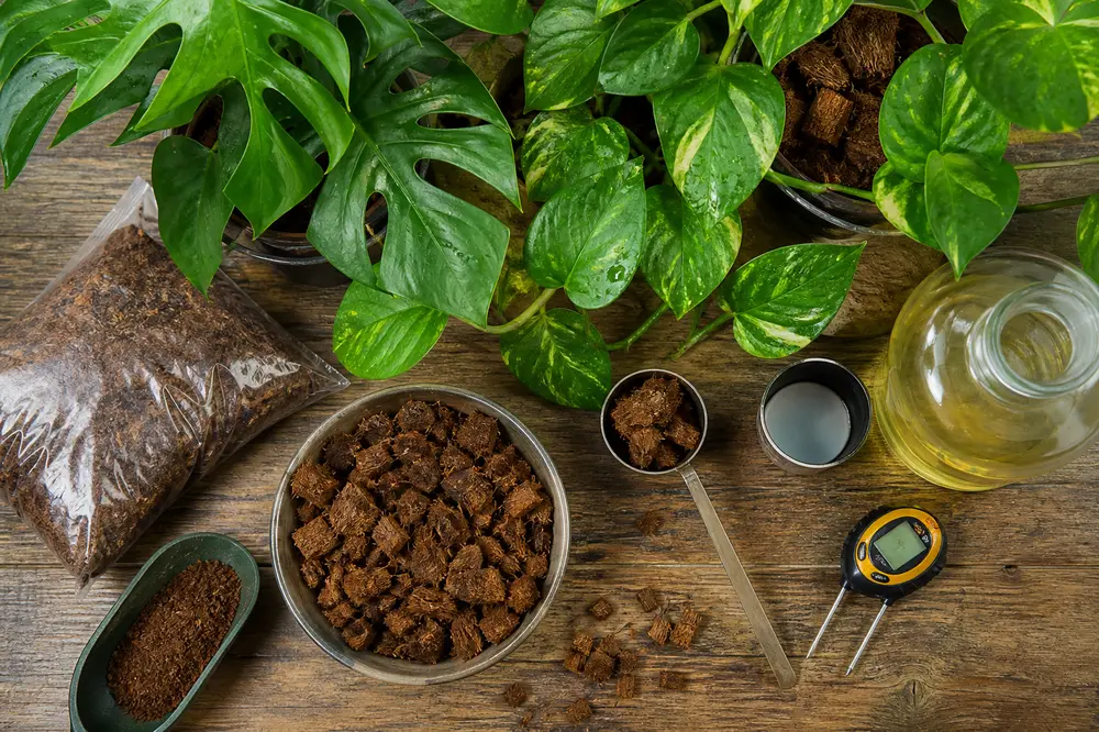 Cannabis dünger coco: Was Deine Pflanzen in Kokoserde wirklich brauchen