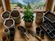 cannabis-erde-schweiz-so-findest-du-das-passende-substrat-fuer-deine-pflanzen