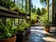 cannabis-indoor-to-outdoor-so-gelingt-die-umstellung-deiner-pflanzen
