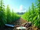 cannabis-legalisierung-97-anbauvereinigungen-in-nrw-genehmigt-verfahren-aufwendig