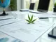 cannabis-news-prozesse-trends-rueckschlaege-und-internationale-entwicklungen-im-ueberblick