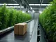 cannabis-news-rekordfund-am-ber-social-clubs-stocken-plantage-nach-brand-entdeckt