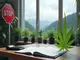 cannabis-news-trulieve-mit-finanzoption-razzia-im-schwarzwald-modellregion-gestoppt
