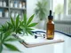 cannabis-politik-im-fokus-streit-um-rezepte-legalisierung-und-neue-kontrollen