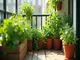 cannabis-sorten-fuer-den-balkon-auf-kleinem-raum-grosses-erlebnis