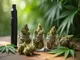 cannabis-vape-vs-blueten-die-vor-und-nachteile-im-vergleich