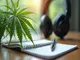 cannabis-wirkung-auf-jugendliche-was-du-wissen-musst