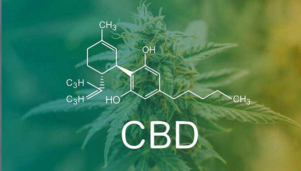 CBD Definition: Was steckt wirklich hinter dem Trend?