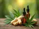 cbd-ingwer-von-bionorica-die-natuerliche-powerkombination