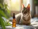cbd-oel-fuer-katzen-risiken-und-vorteile-im-ueberblick
