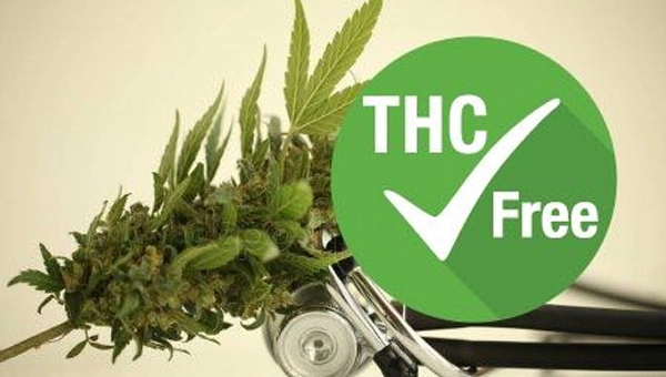 cbd-ohne-thc-was-du-wissen-solltest