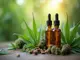 cbd-quiz-teste-dein-wissen-ueber-cannabidiol