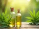 cbd-ulje-das-beste-aus-der-natur-fuer-dein-wohlbefinden