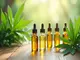 cbd-ya-fiyatlari-hangi-faktoerler-fiyati-etkiler