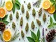 die-duftnoten-des-genusses-cannabis-sorten-und-ihre-terpene
