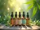 die-vielfaeltigen-wirkungen-von-cbd-aromaoel