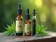 die-vor-und-nachteile-von-cbd-oel-und-vape