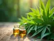 die-wirkung-von-cannabis-blaettern-was-gibt-es-zu-beachten