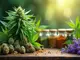 ein-fest-fuer-die-sinne-diese-cannabis-sorten-sind-einzigartig-lecker