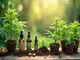 ein-jahr-cannabis-legalisierung-bilanz-herausforderungen-und-neue-entwicklungen