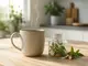 entdecke-die-besondere-geschmackskombination-von-cbd-und-kaffee