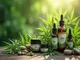 entdecke-die-welt-des-cbd-in-indien-cbd-cream-und-ihre-anwendungsmoeglichkeiten
