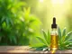 full-spectrum-cbd-oel-die-volle-pflanzenkraft-erleben