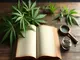 geschichte-von-cannabis-guide