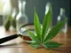 halbherzige-cannabis-legalisierung-kritik-an-fragwuerdigen-praktiken-und-risiken-waechst