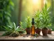koalition-in-der-krise-geplantes-versandverbot-fuer-cannabis-sorgt-fuer-streit
