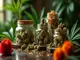 luxus-genuss-die-teuren-cannabis-sorten
