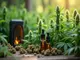 mangelnde-suchtpraevention-nach-cannabis-entkriminalisierung-in-niedersachsen-kritisiert