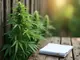 thailand-verschaerft-cannabis-gesetze-deutschland-und-oesterreich-mit-neuen-entwicklungen