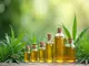 thc-spezialist-nl-ihr-experte-fuer-thc-produkte
