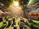 von-amsterdam-bis-kalifornien-die-besten-cannabis-festivals-und-events-weltweit