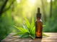 wie-cbd-oel-deine-libido-auf-natuerliche-weise-ankurbeln-kann