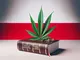 wie-legal-ist-der-cbd-joint-in-polen